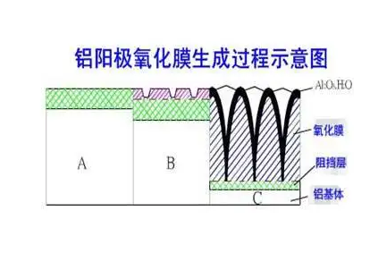 铝型材硬质阳极氧化膜生成过程 铝型材硬质阳极氧化膜生成过程
